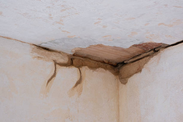 Best Professional water damage repair  in Eastman, GA